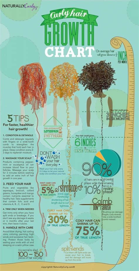 Curly Hair Growth Chart 42 Hair Care Infographics