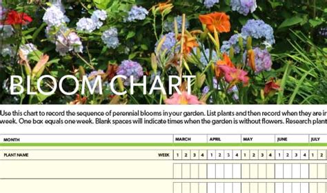 How To Use A Bloom Chart