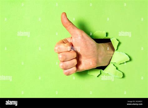 Hand With Thumb Up Gesture Through Hole In Green Paper Wall Stock Photo