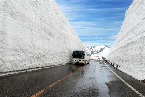Snow Wall At Kurobe Alpine In Japan With Bus For Tourists On Tat Stock