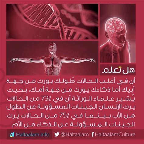 ولذلك فإن حلم ولادة ولد قد يختلف تأويله من شخص إلى شخص، وكذلك ولادة الأنثى والتوائم، وكلّ ما يتعلق. هل تعلم عن الانسان - صباح الحب