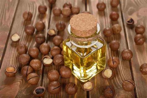 Hazelnut Oil Benefits Hair Health And Moisture Retention Arad Branding