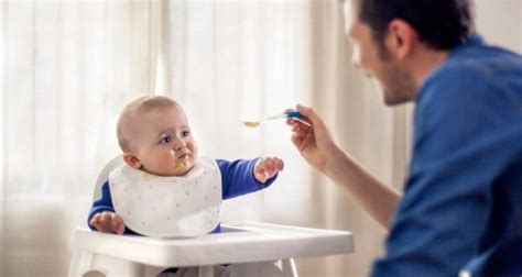 Cómo Introducir La Carne En La Dieta De Los Bebés Bekia Padres