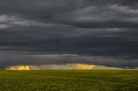 Cloud And Canola A Prairie Storm Brews Over A Field Of Can Flickr