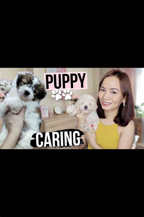 Useful Dog Caring Tips For First Time Owners In 2021 Puppy Care