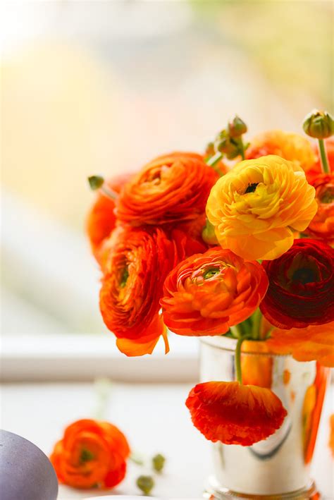 Orange Ranunculus Book Review Recipe And Story On The Blo Au