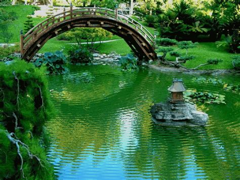 See more ideas about cartoon garden, doodle art, art journal. Sons de la nature (et images animées)