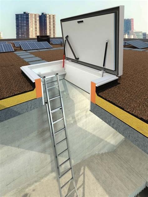 Roof Hatch With Ladder And Handrail On Hatch Cover Roof Modern Roof