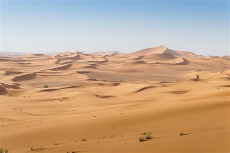 This New Desert Reserve Will Cover 10 Of Dubai Dubai Safari Dubai