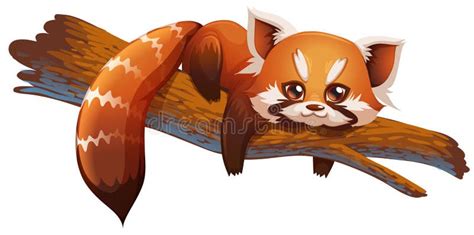 Cute Red Panda Stock Illustration Illustration Of Mammal 18782490
