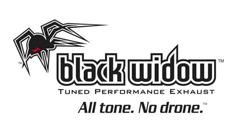 Black Widow Exhaust Ls C 10 Youtube