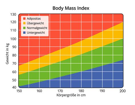 Bmi Rechner Berechne Deinen Body Mass Index Krank De