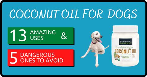 What kind of coconut oil for dogs. Coconut Oil for Dogs: 13 Amazing Uses (+5 Dangerous Ones ...
