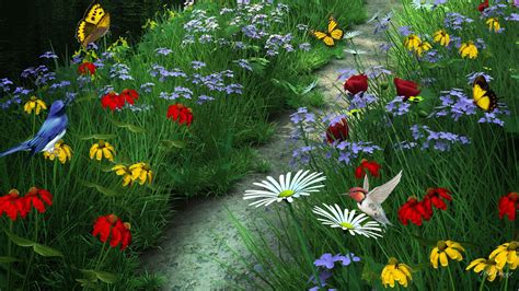 Download Butterfly Bird Colorful Flower Grass Path Artistic Summer Hd