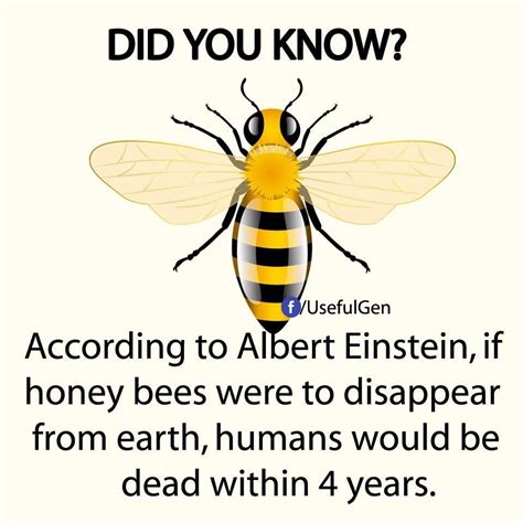 Pin By Debbie Rowe On Dyk Did You Know Bee Facts Bee Save The Bees
