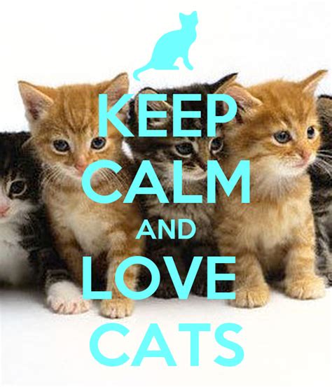 Keep Calm And Love Cats Poster Kitteh Keep Calm O Matic