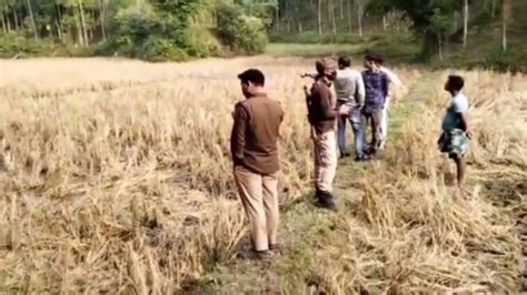 Assam Police Open Fire At Bangladeshi Cow Smugglers Near Indo