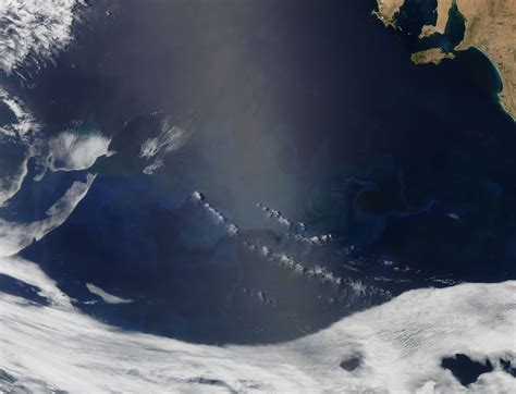 Nasa Modis Image Of The Day January 21 2013 Phytoplankton Bloom In