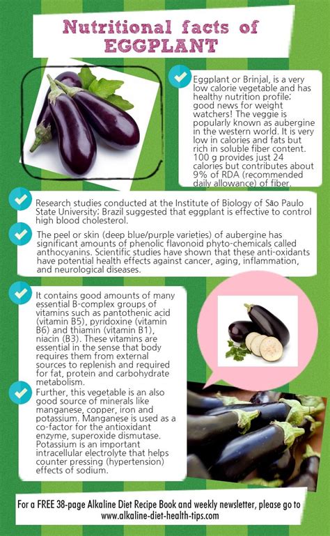 Infographic Nutritional Facts Of Eggplant Eggplant Nutrition
