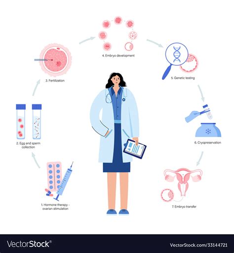 human fertility royalty free vector image vectorstock