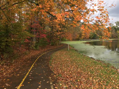 Best Hiking Trails For Colorful Fall Foliage Great Parks Of Hamilton