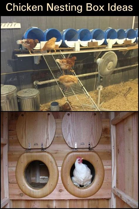 Chicken Nesting Box Ideas The Owner Builder Network Chicken Nesting