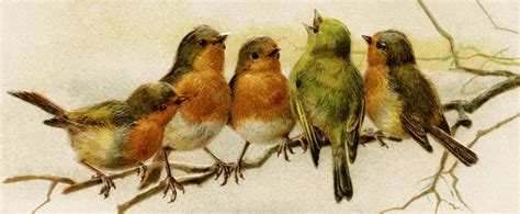 Vintage Birds Vintage Printables Art