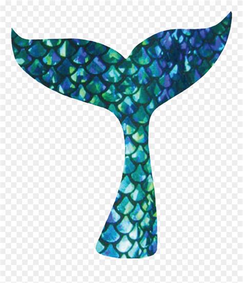 Mermaid Clipart Mermaid Tail Mermaid Mermaid Tail Transparent Free For
