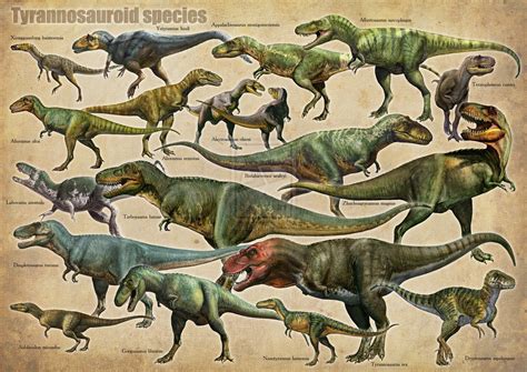 Tyrannosaurids Park Pedia Jurassic Park Dinosaurs Stephen Spielberg