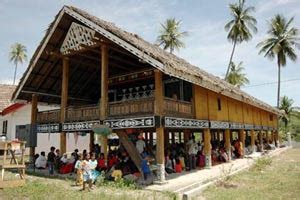 Dayak Tribe Zona Indonesia