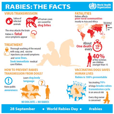 World Rabies Day September 28th Pet Safety Crusader
