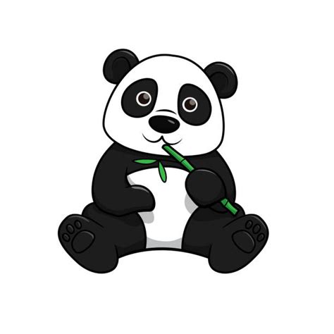 Panda Sitting Illustrationen Und Vektorgrafiken Istock
