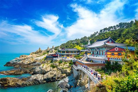 Top 15 Things To Do In Busan South Korea Busan Travel Guide