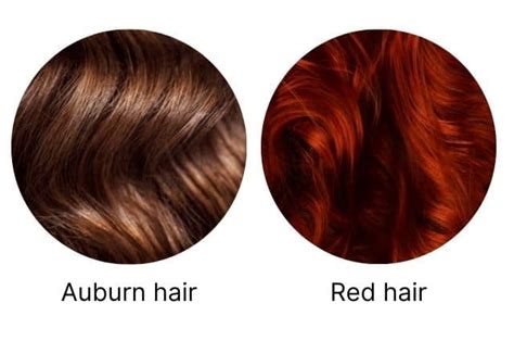 How To Make An Aubunr Hair Color