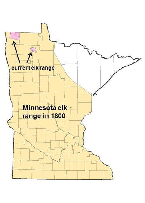 Background Feasibility Of Restoring Elk To Northeastern Minnesota