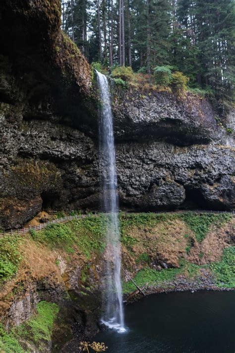 South Falls In Silver Falls State Park Oregon Best Day Trip
