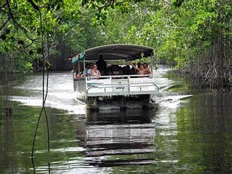 Black River Safari Eco Tour Jamaica Get Away Travels