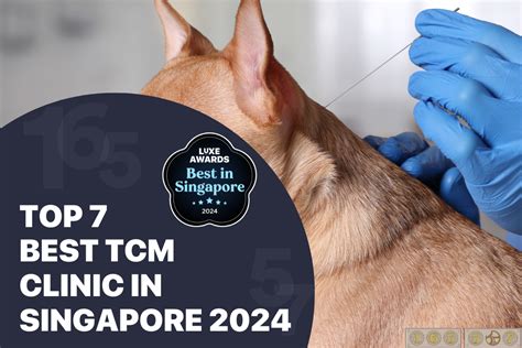 Top 7 Best Tcm Clinic In Singapore 2024 Steriluxe