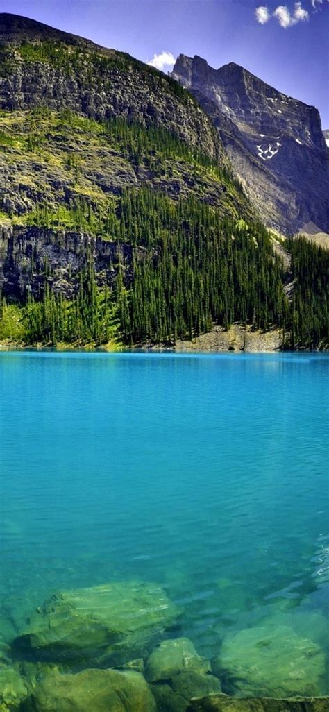 Moraine Forest And Wonderful Blue Lake Water Hd Wallpaper