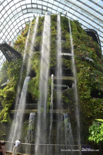 Cloud Forest Dome At Gardens By The Bay Enidhi India Travel Blog