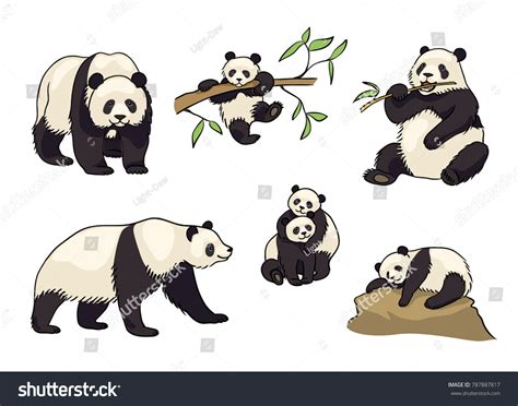 Pandas Cartoon Style Adults Babies Vector Stock Vector Royalty Free
