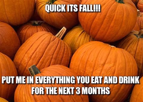 12 Fall Memes That Will Get You Ready For Your Favorite Season