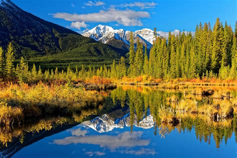 Download Rocky Mountains Alberta Canada Reflection Lake Mountain Forest