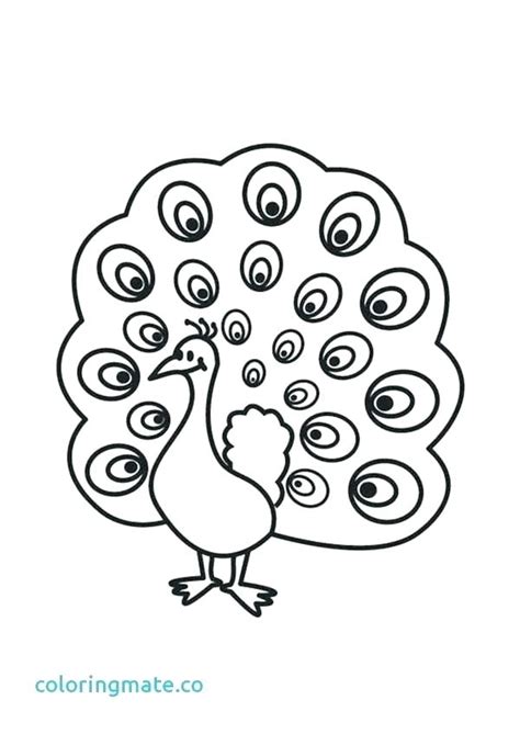 In case you don\'t find what you are looking for, use the top search bar to search again! Bird Feather Coloring Pages at GetColorings.com | Free ...