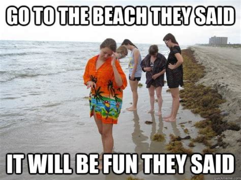 20 relatable beach memes for the summer