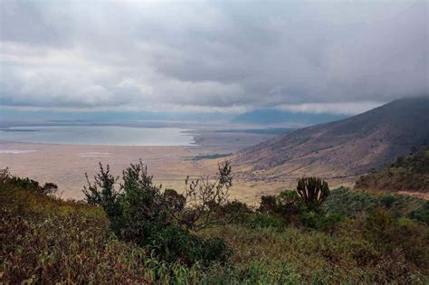 Ngorongoro Crater Ngorongoro Conservation Area Tanzania Arusha Trips