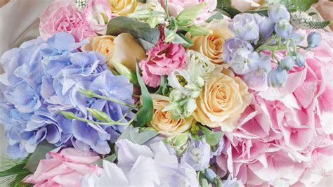 Pretty Pastel Colorful Flowers Image Abyss