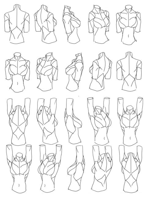 Female Torso Rotation By Blog Website Pixiv Net