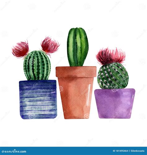 Watercolor Illustration With Different Types Of Cacti In Colorful Pots