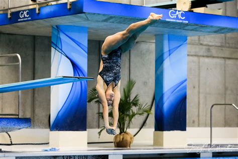 Fsu Womens Swimming And Diving Dvel Photography